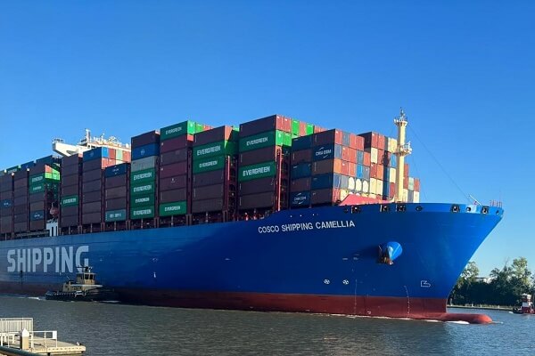 Import-export agents